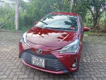 Toyota Vitz 2019 Car