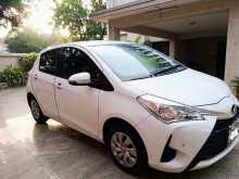 Toyota Vitz 2019 Car