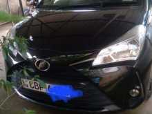 Toyota Vitz 2019 Car