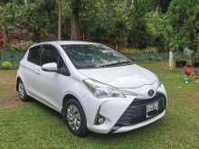 Toyota Vitz 2017 Car