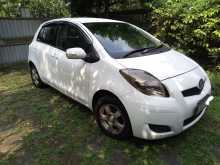 Toyota Vitz 2008 Car