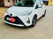 Toyota Vitz 2019 Car