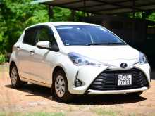 Toyota Vitz 2019 Car