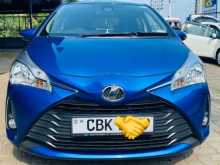 Toyota Vitz 2017 Car