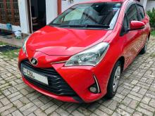 Toyota Vitz 2017 Car