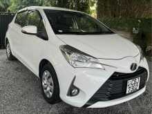 Toyota Vitz 2017 Car