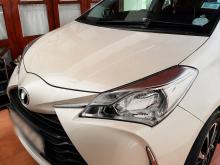 Toyota Vitz 2019 Car