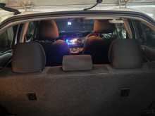 https://riyasewana.com/uploads/toyota-vitz-2675920563.jpg