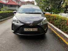 Toyota Vitz 2017 Car