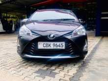Toyota Vitz 2017 Car