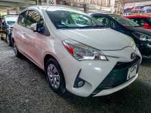 Toyota Vitz 2017 Car