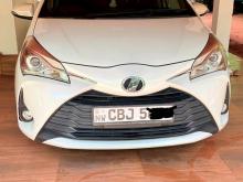 Toyota Vitz 2019 Car