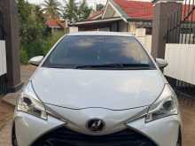Toyota Vitz 2019 Car
