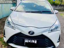 Toyota Vitz 3rd Edition 2019 Car