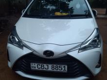 Toyota Vitz 2019 Car