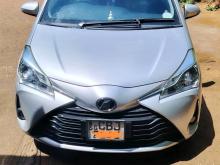 Toyota Vitz 2017 Car