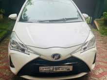 Toyota Vitz 2017 Car