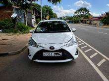 Toyota Vitz 2019 Car