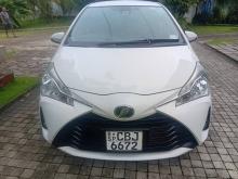 Toyota VITZ SEFTY EDITION 2020 Car