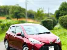 Toyota Vitz 2019 Car