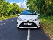 Toyota Vitz 2019 Car