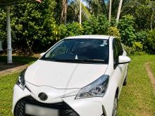 Toyota Vitz 2019 Car