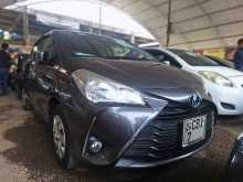 Toyota Vitz 2017 Car