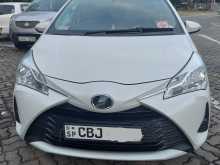 Toyota Vitz 2019 Car