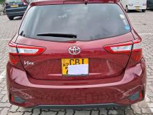 Toyota Vitz 2019 Car
