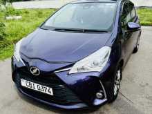 Toyota Vitz 2019 Car