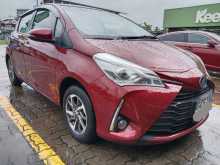 Toyota Vitz 2019 Car