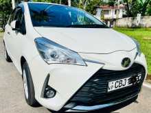 Toyota Vitz 2019 Car