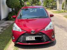 Toyota Vitz 2019 Car