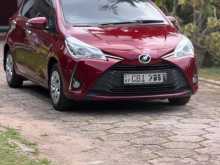 Toyota Vitz Edition 03 2019 Car