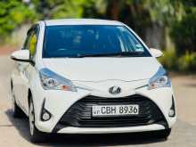 Toyota Vitz Edition 3 2019 Car