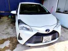 Toyota Vitz 2017 Car