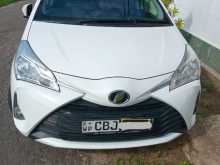Toyota Vitz Ksp130 2019 Car
