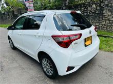https://riyasewana.com/uploads/toyota-vitz-safety-1014540424473.jpg