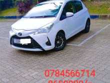 Toyota Vitz Safety Edition 2017 Car