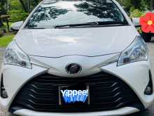 Toyota Vitz 2019 Car