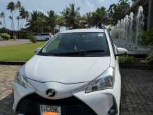 Toyota Vitz 2017 Car