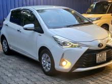 Toyota Vitz Special Edition 2017 Car