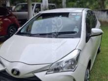 Toyota Vitz 2017 Car