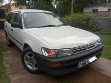 Toyota Wagon Elephant Back 1997 Car