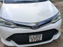 Toyota Wxb 2017 Car