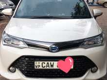 Toyota Axio WXB 2017 Car