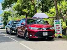 Toyota Axio WXB 2019 Car