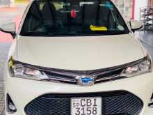 Toyota WXB 2019 Car