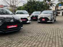 Toyota Yaris 2024 Car