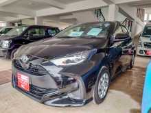 Toyota Yaris 2023 Car